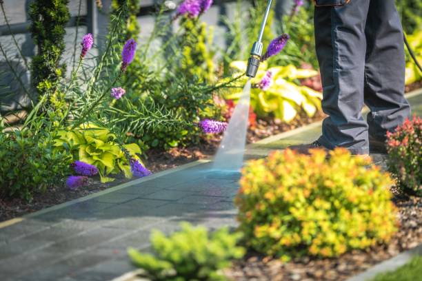 Best Driveway Cleaning and Restoration in Grinnell, IA